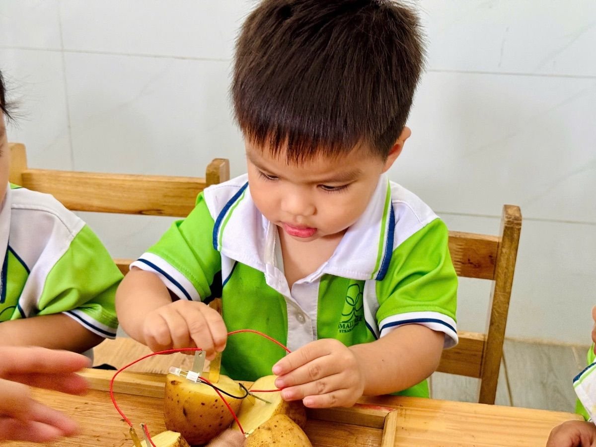 Ảnh hoạt động