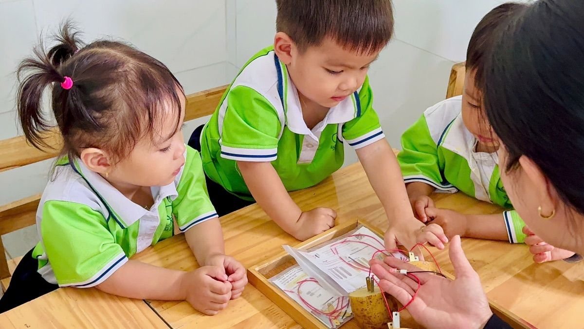 Ảnh hoạt động