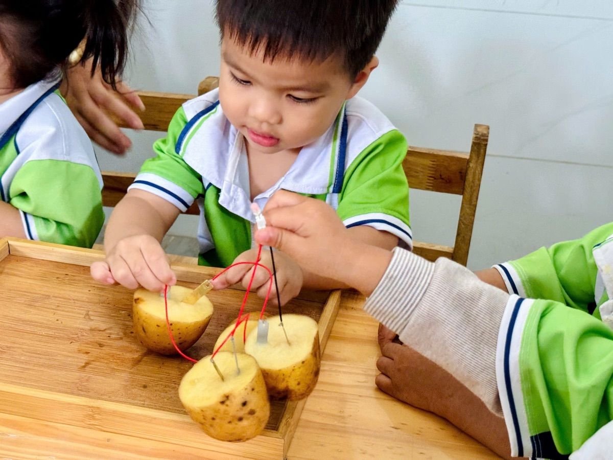 Ảnh hoạt động