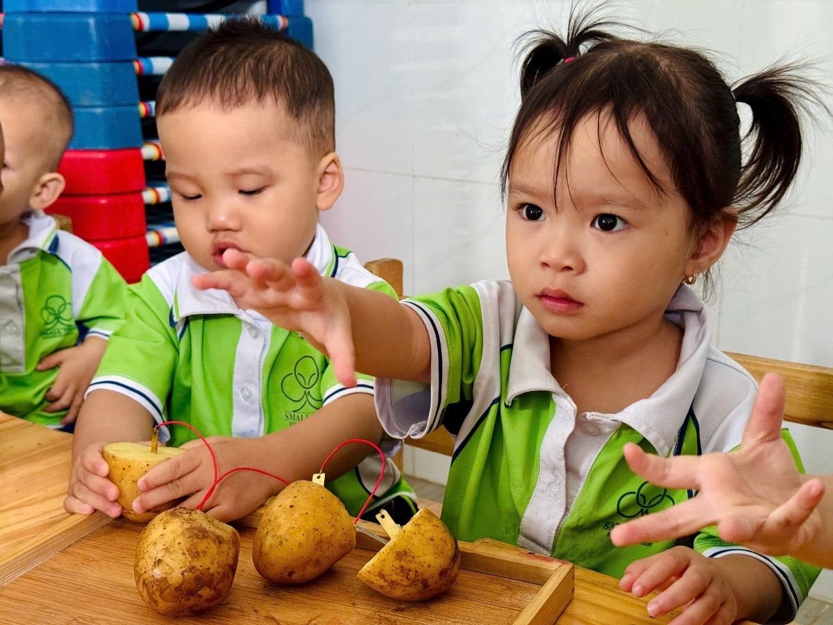 Ảnh hoạt động