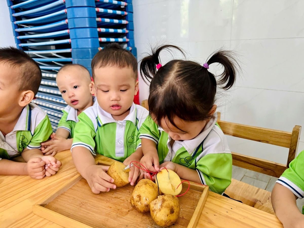 Ảnh hoạt động