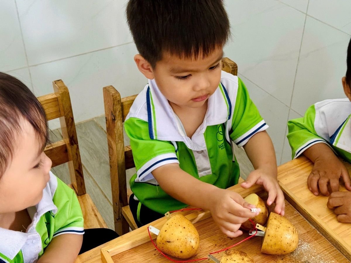 Ảnh hoạt động