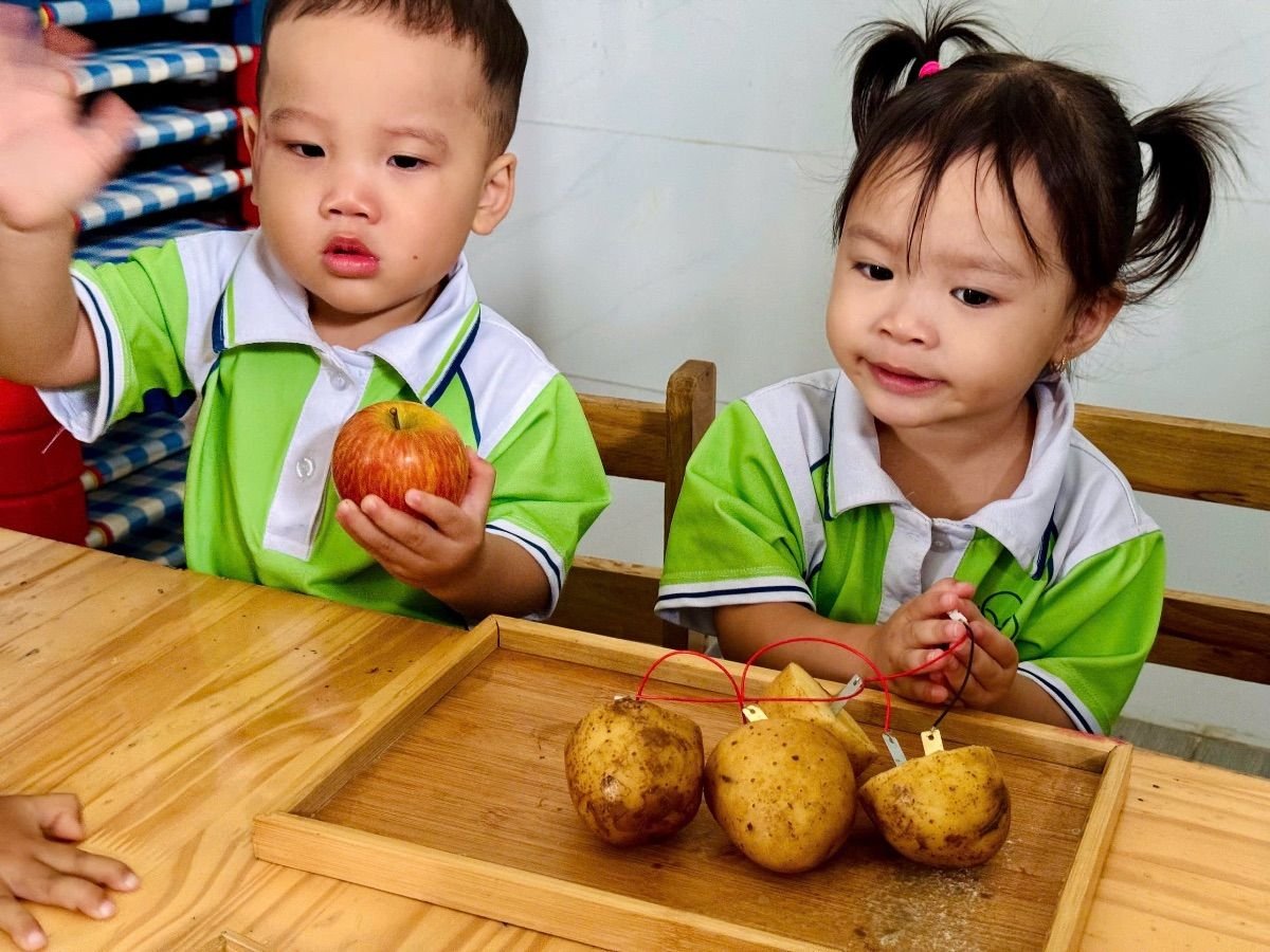 Ảnh hoạt động