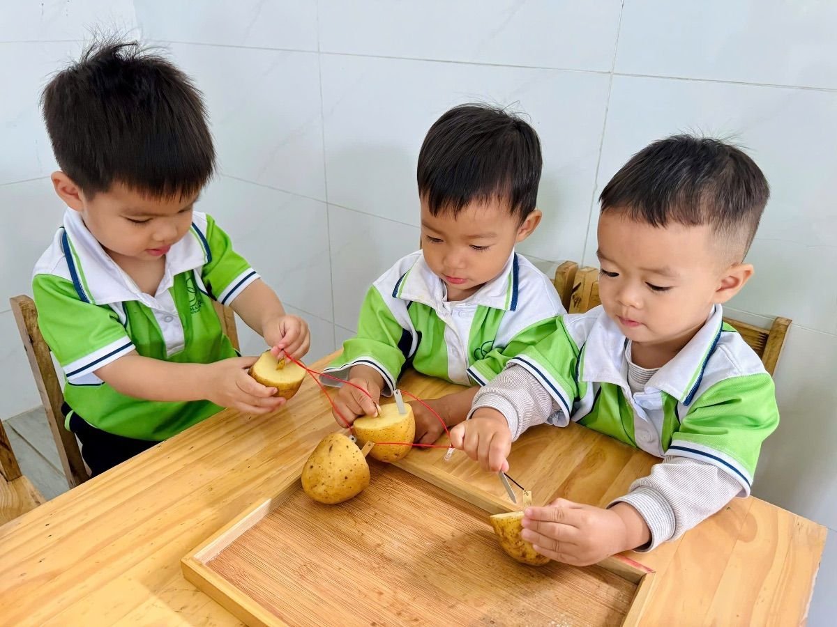 Ảnh hoạt động