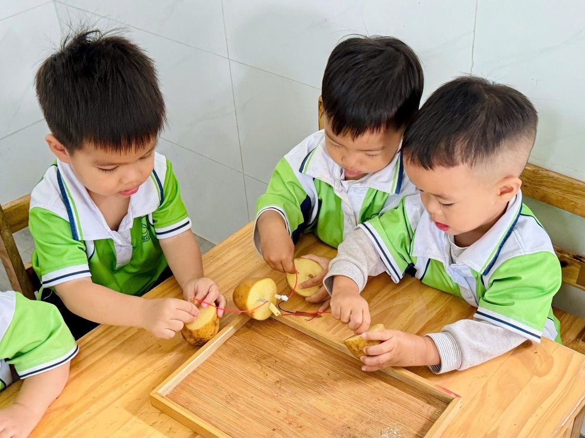 Ảnh hoạt động