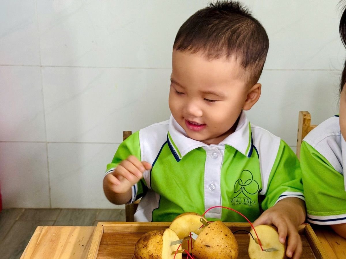 Ảnh hoạt động