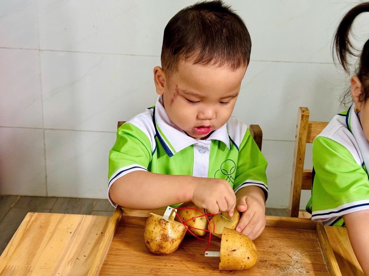 Ảnh hoạt động