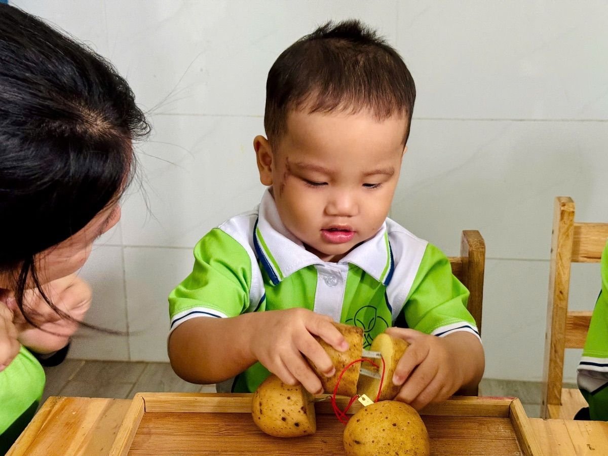Ảnh hoạt động