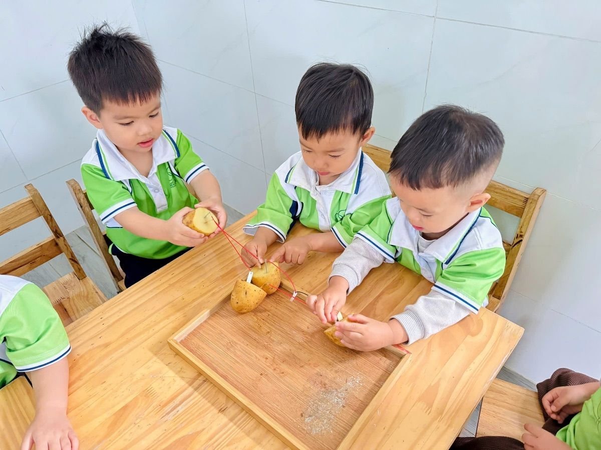 Ảnh hoạt động
