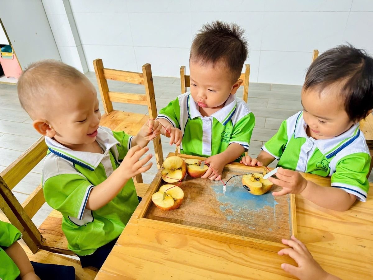 Ảnh hoạt động