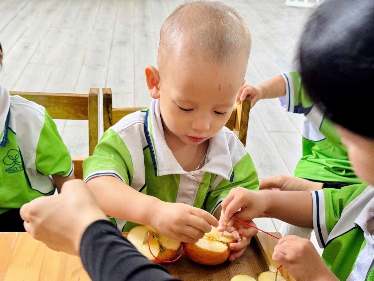 Ảnh hoạt động