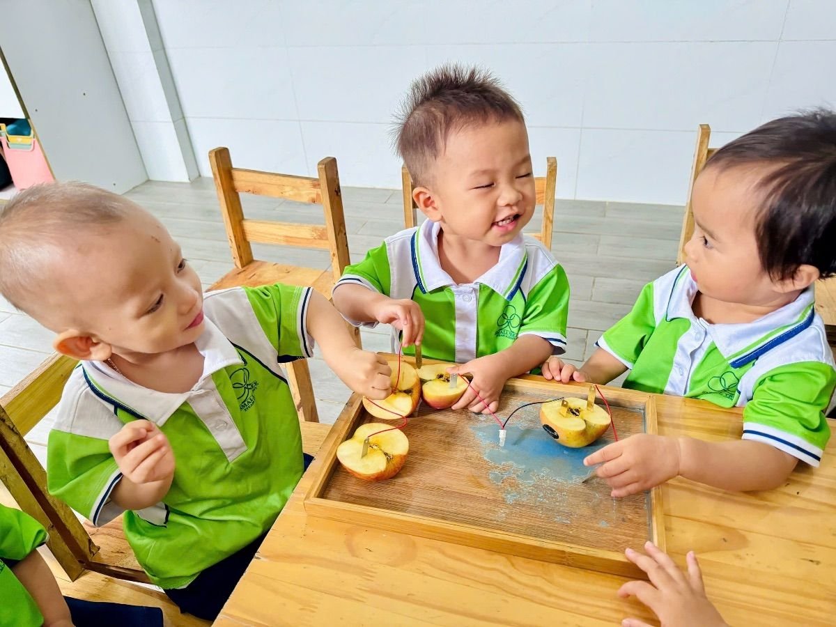 Ảnh hoạt động