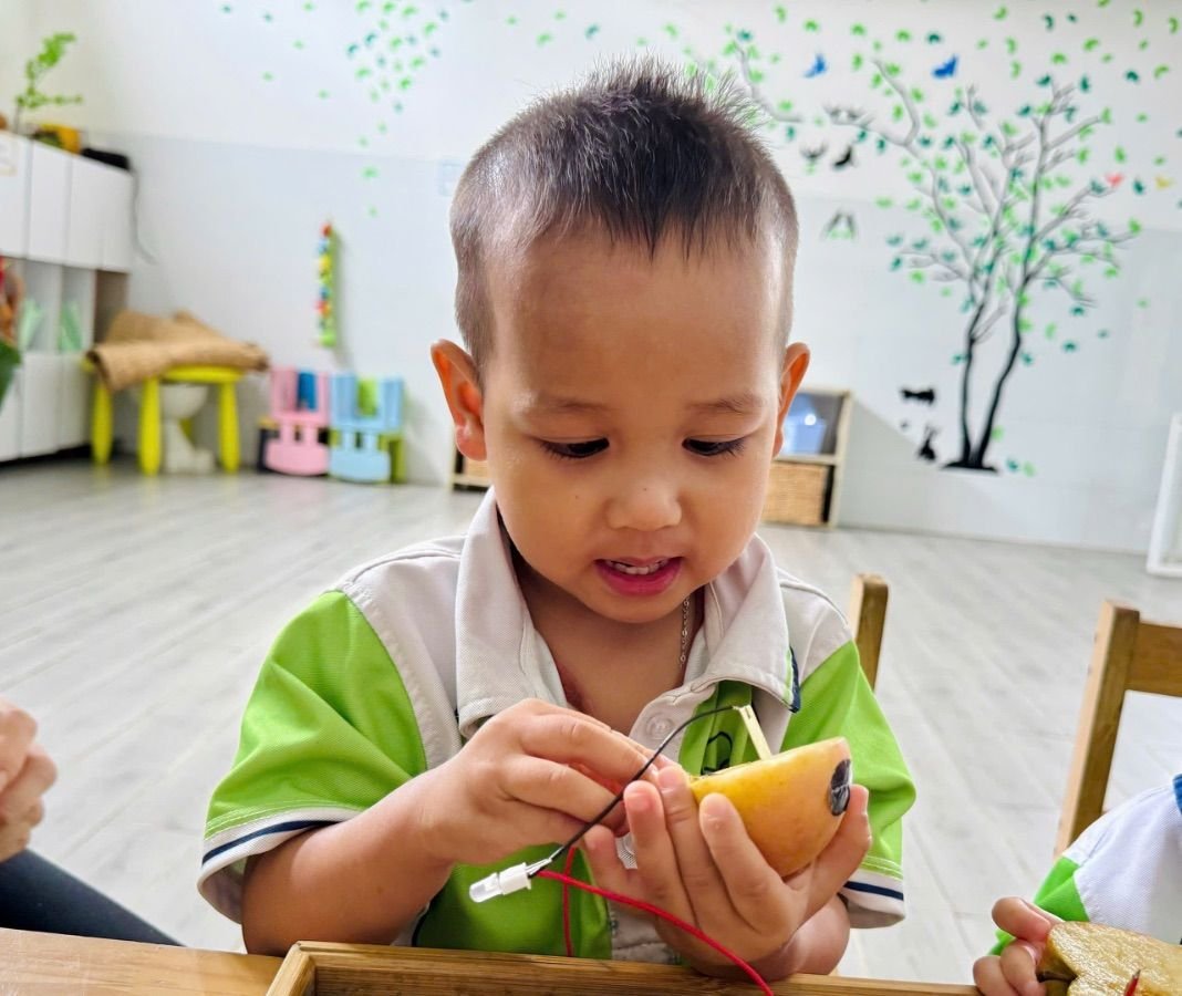 Ảnh hoạt động