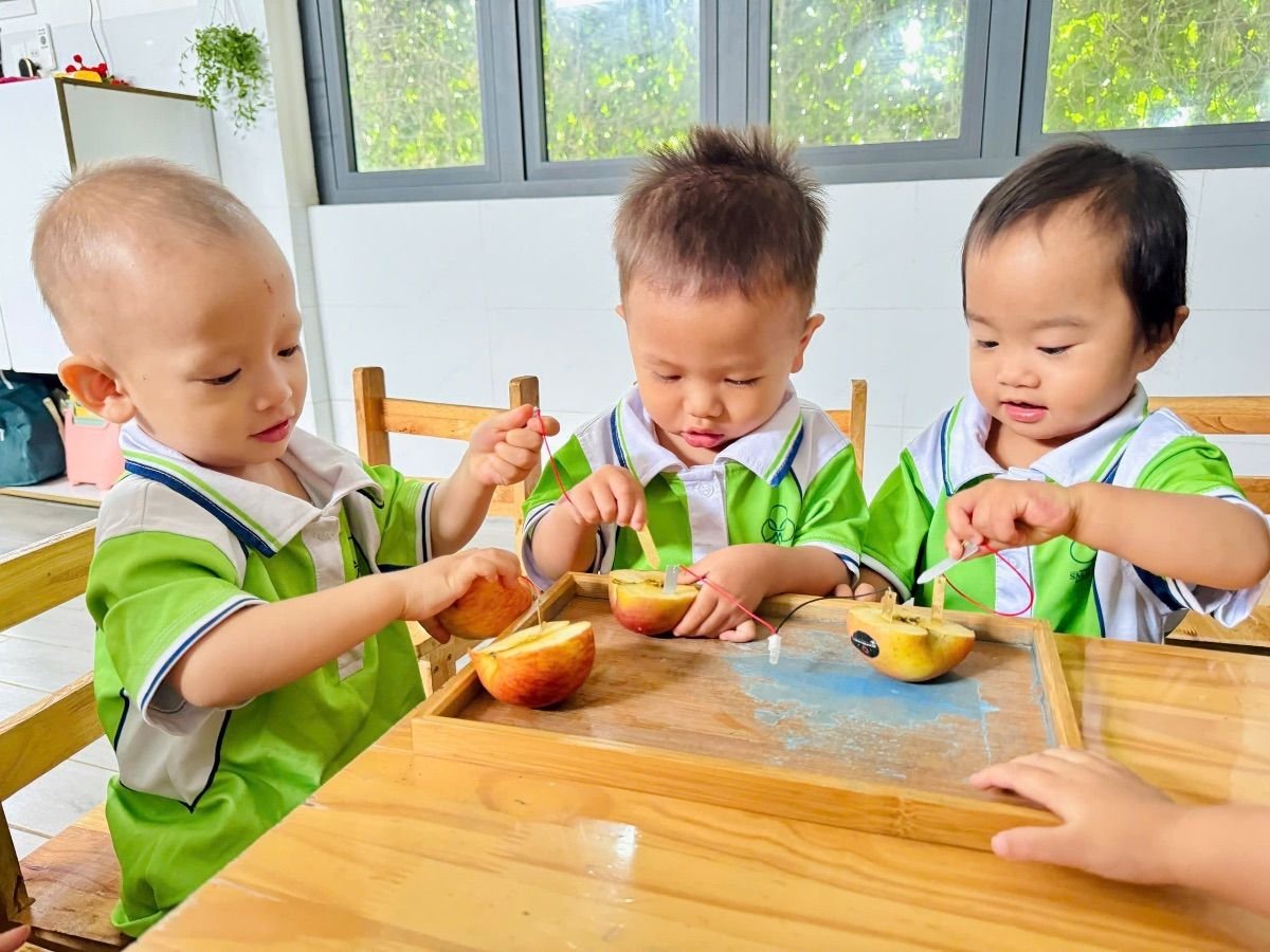 Ảnh hoạt động