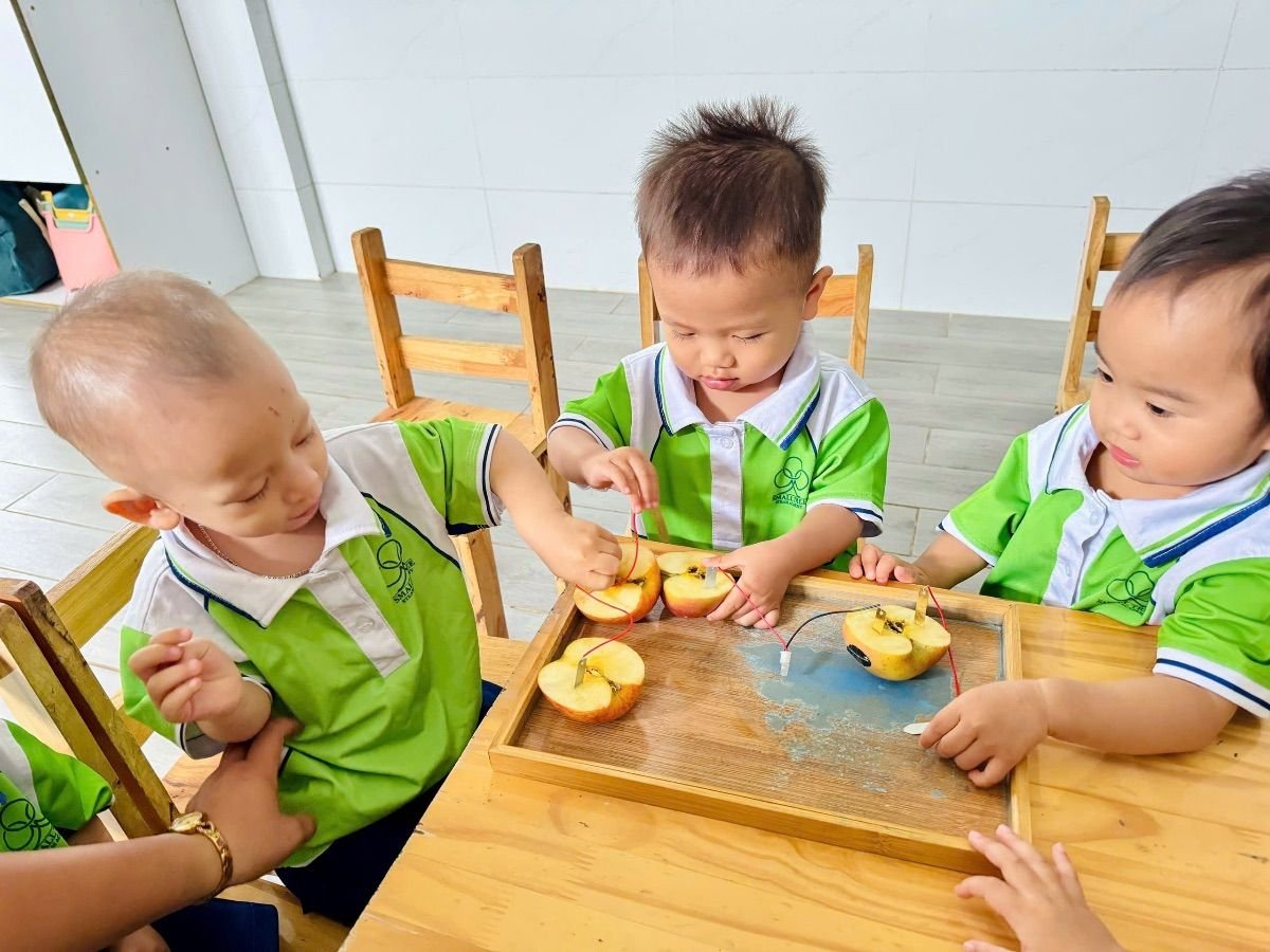 Ảnh hoạt động