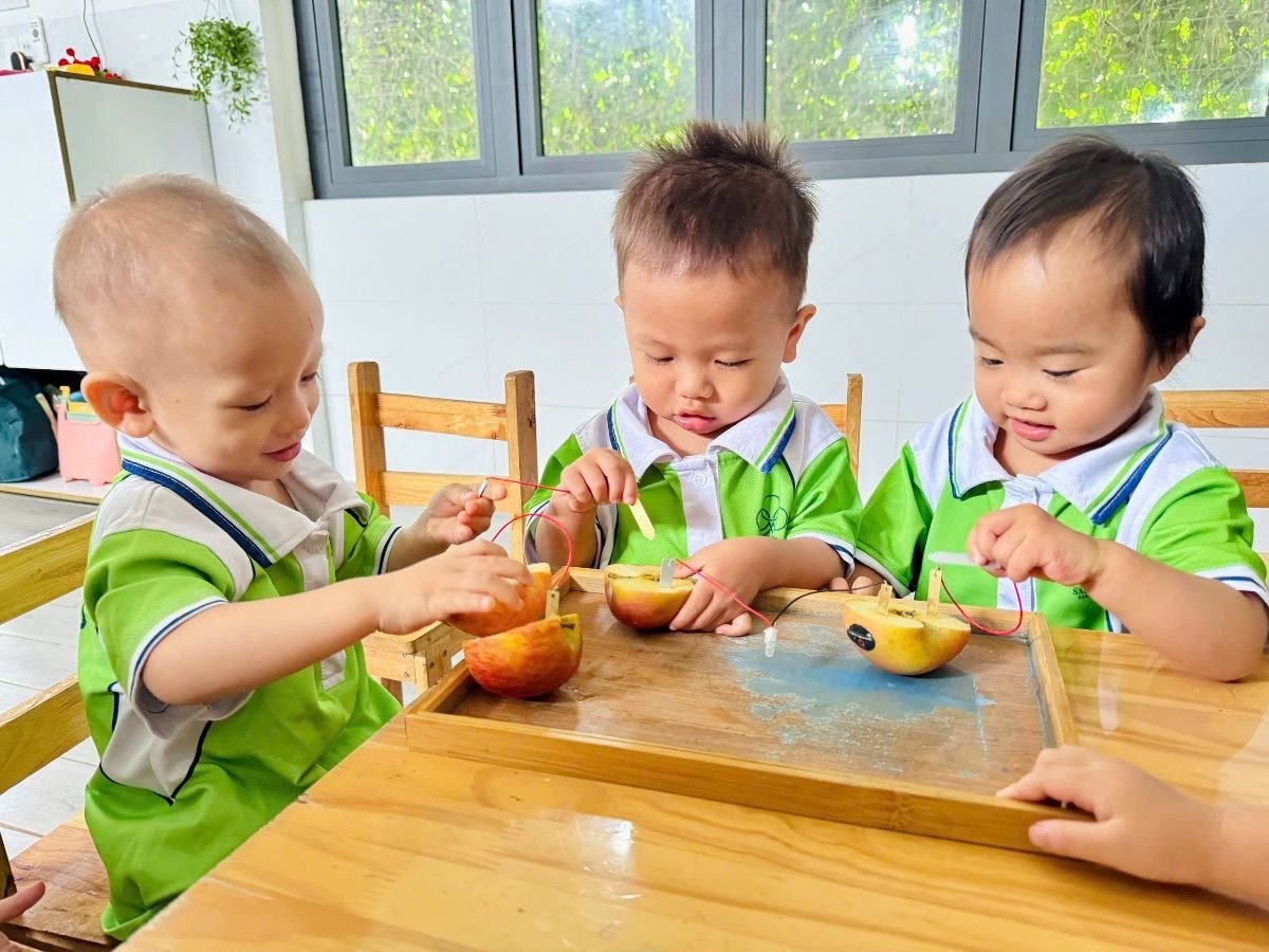 Ảnh hoạt động