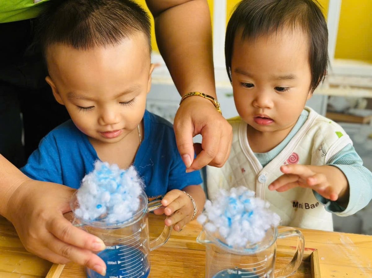 Ảnh hoạt động