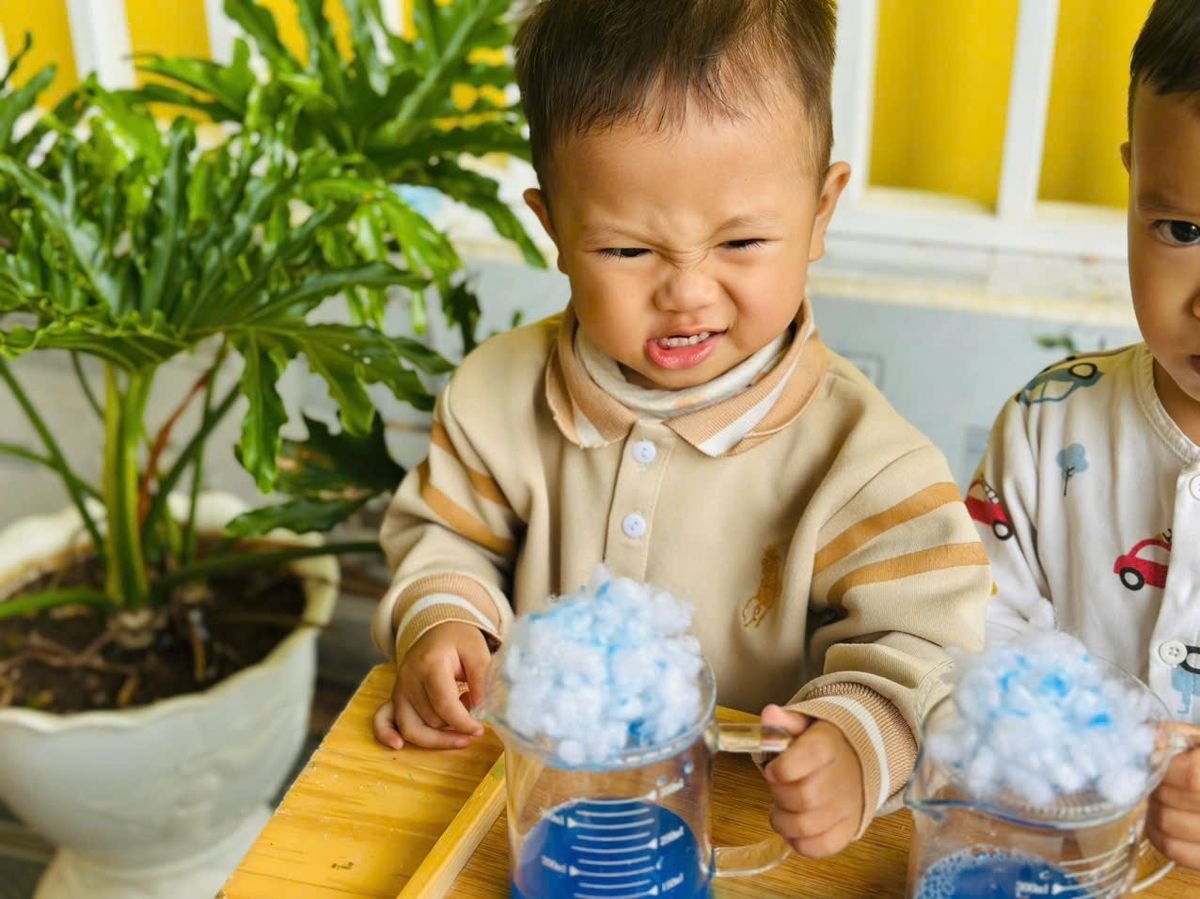 Ảnh hoạt động