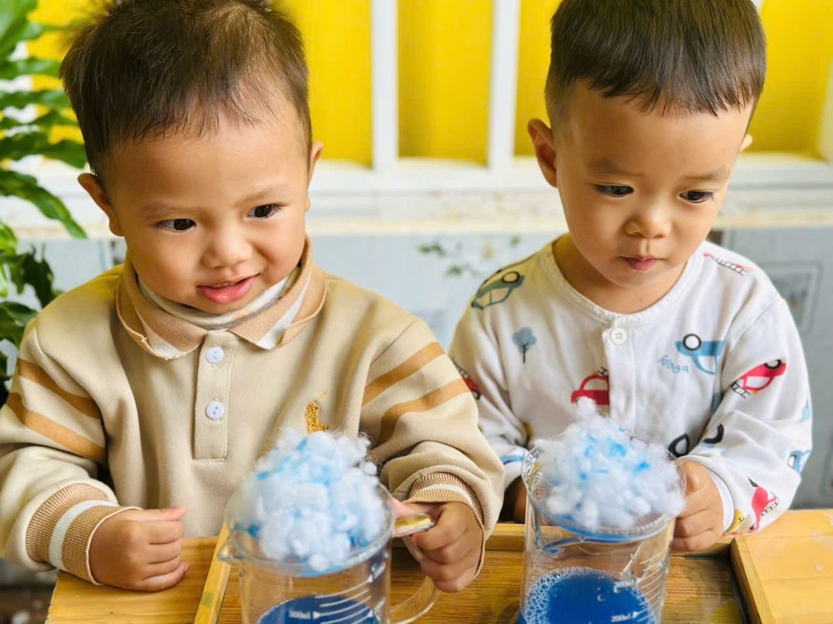 Ảnh hoạt động