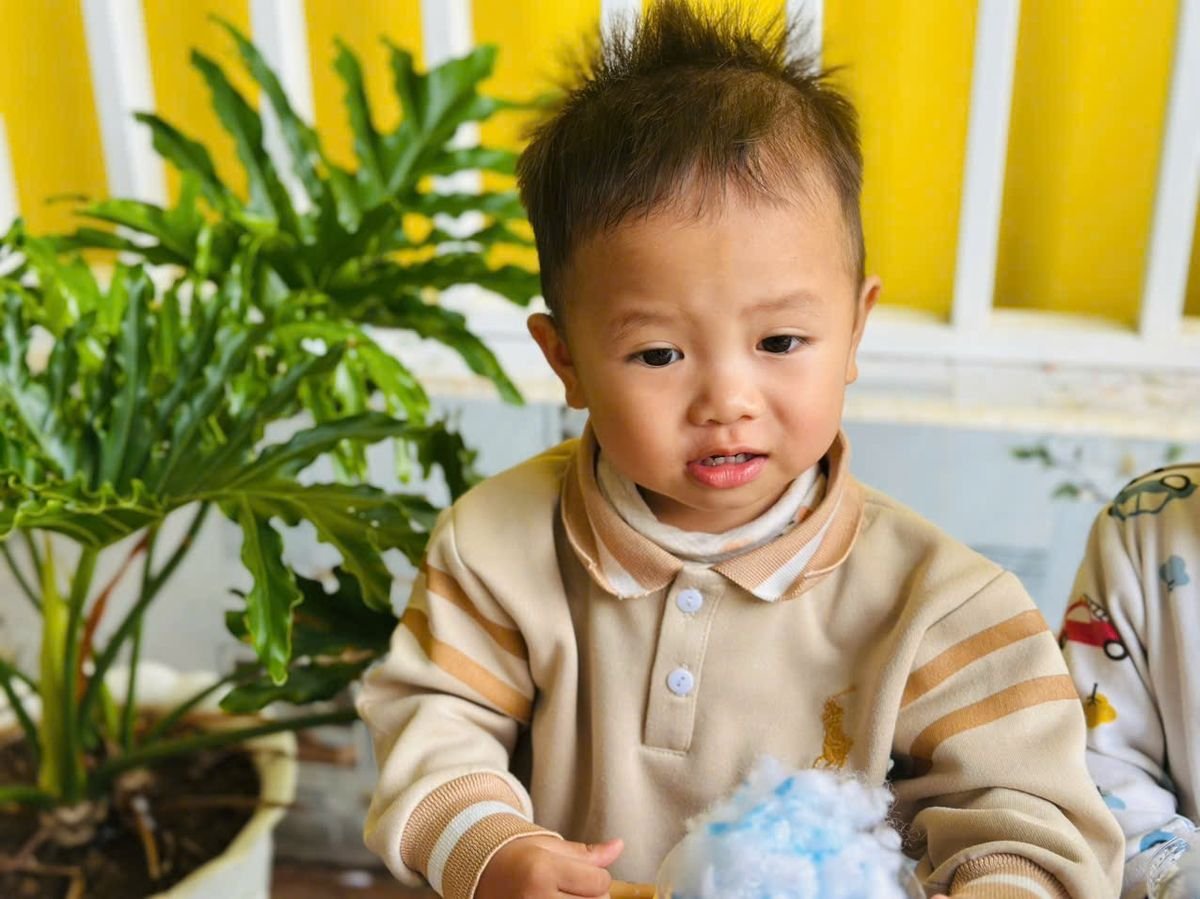 Ảnh hoạt động