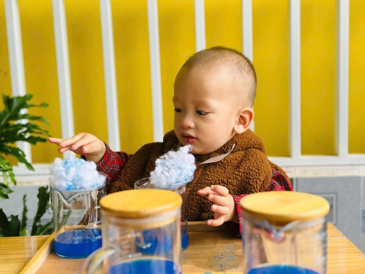 Ảnh hoạt động