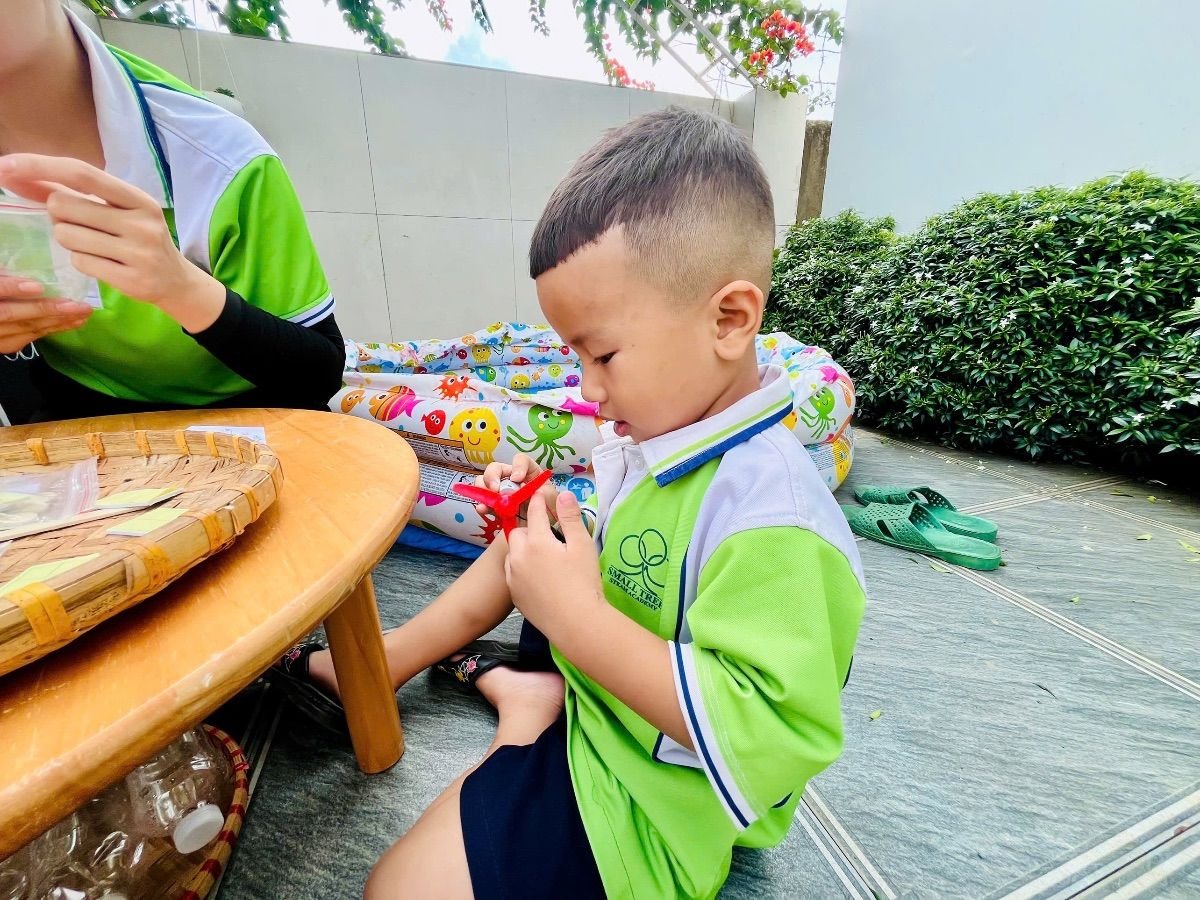 Ảnh hoạt động