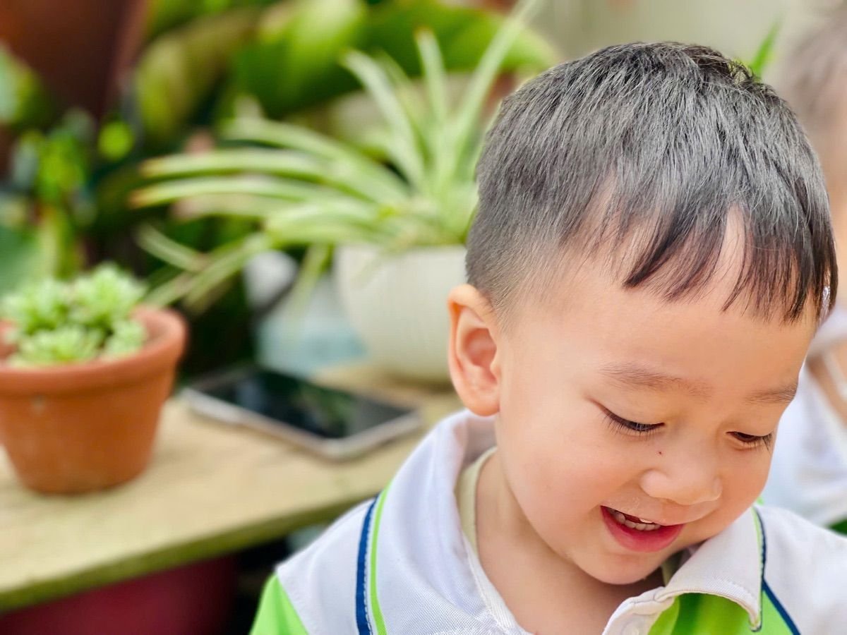Ảnh hoạt động