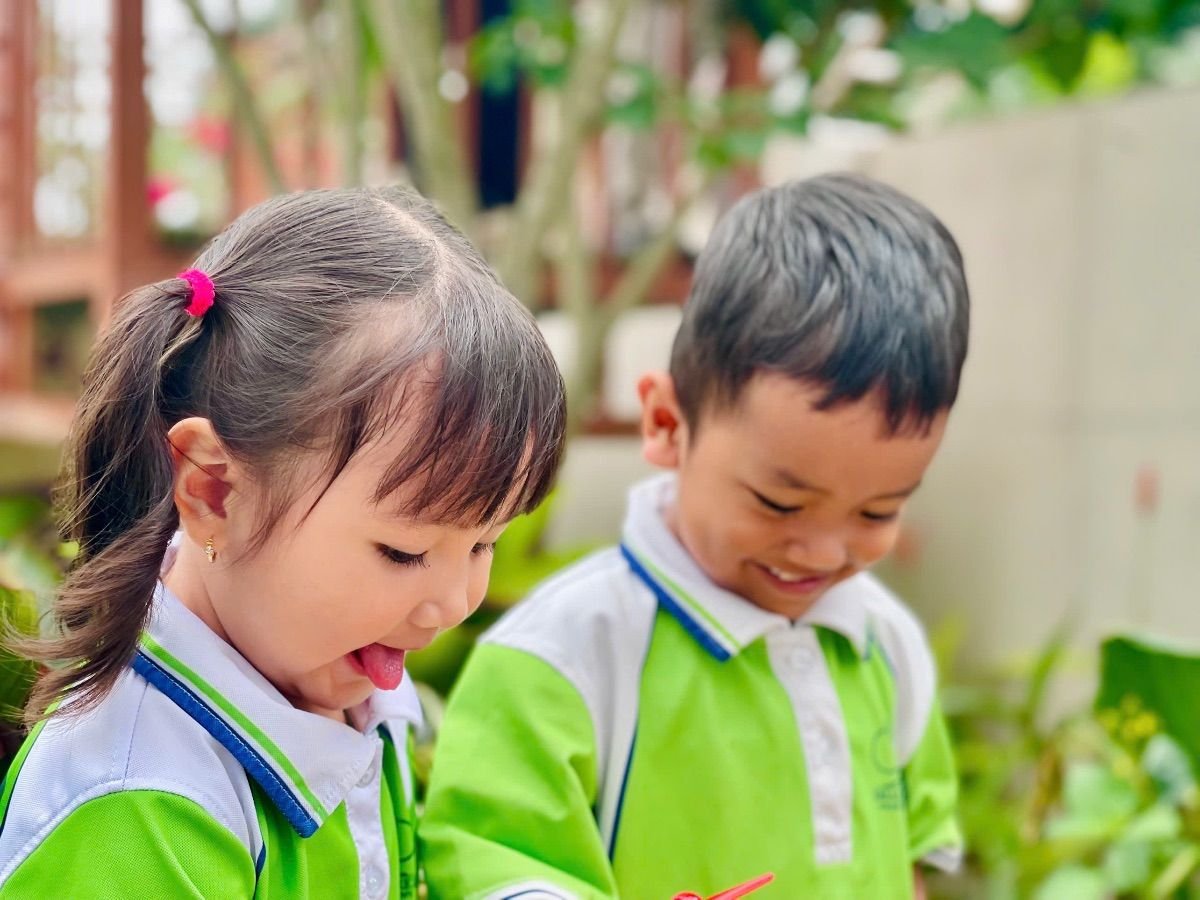 Ảnh hoạt động