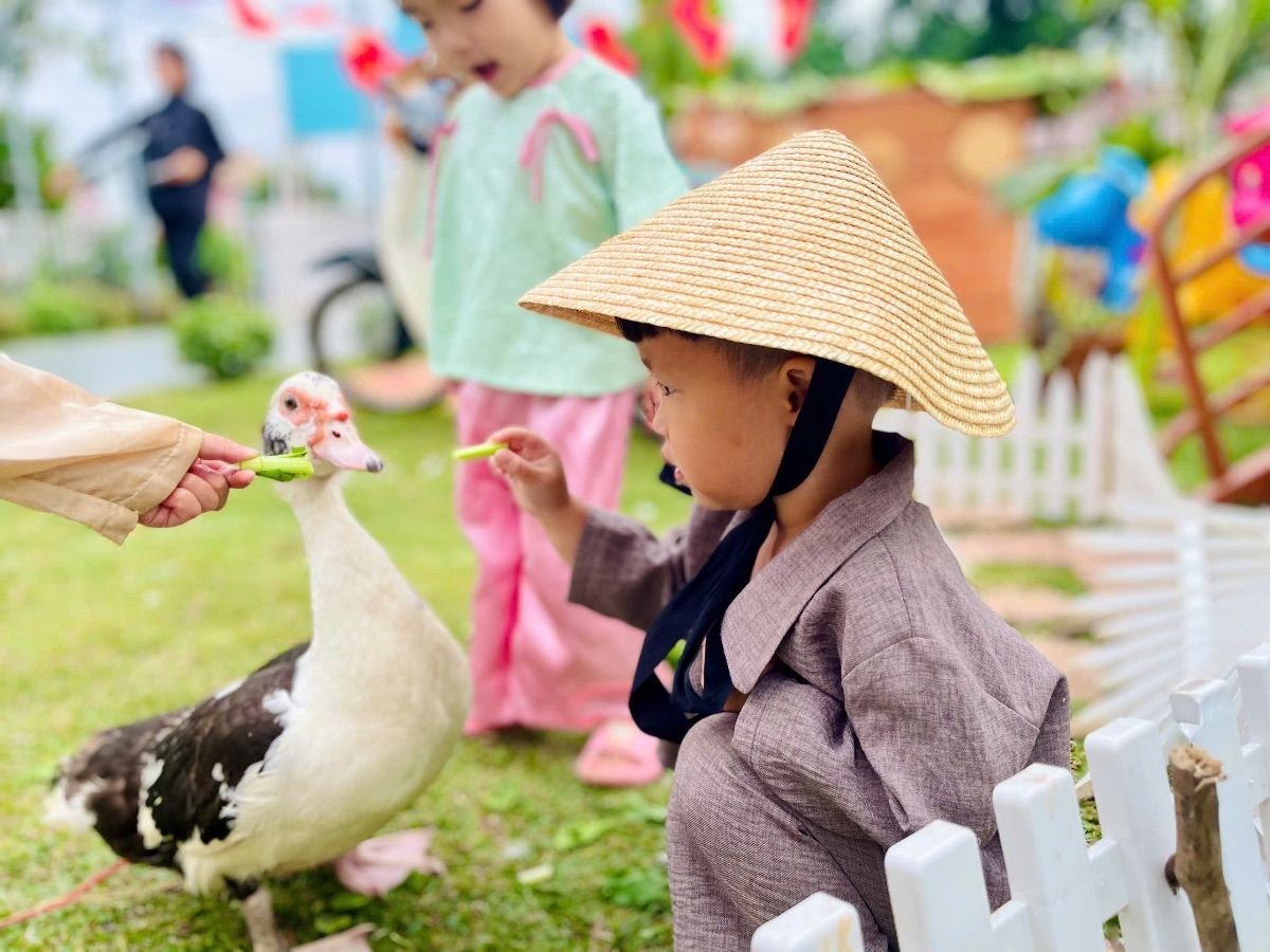 Ảnh hoạt động