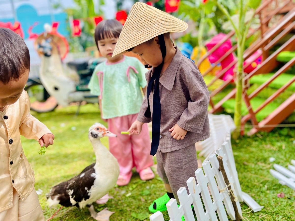 Ảnh hoạt động