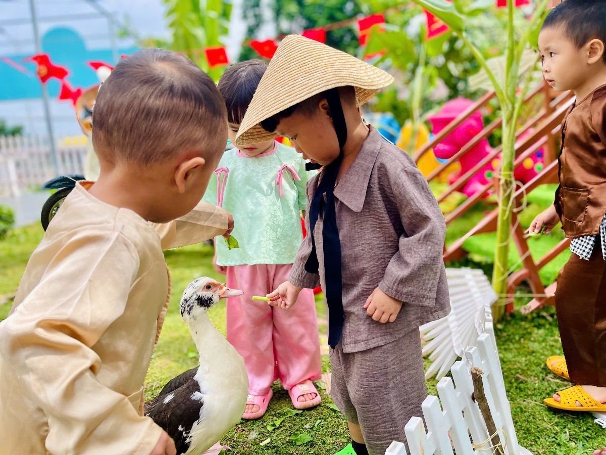 Ảnh hoạt động