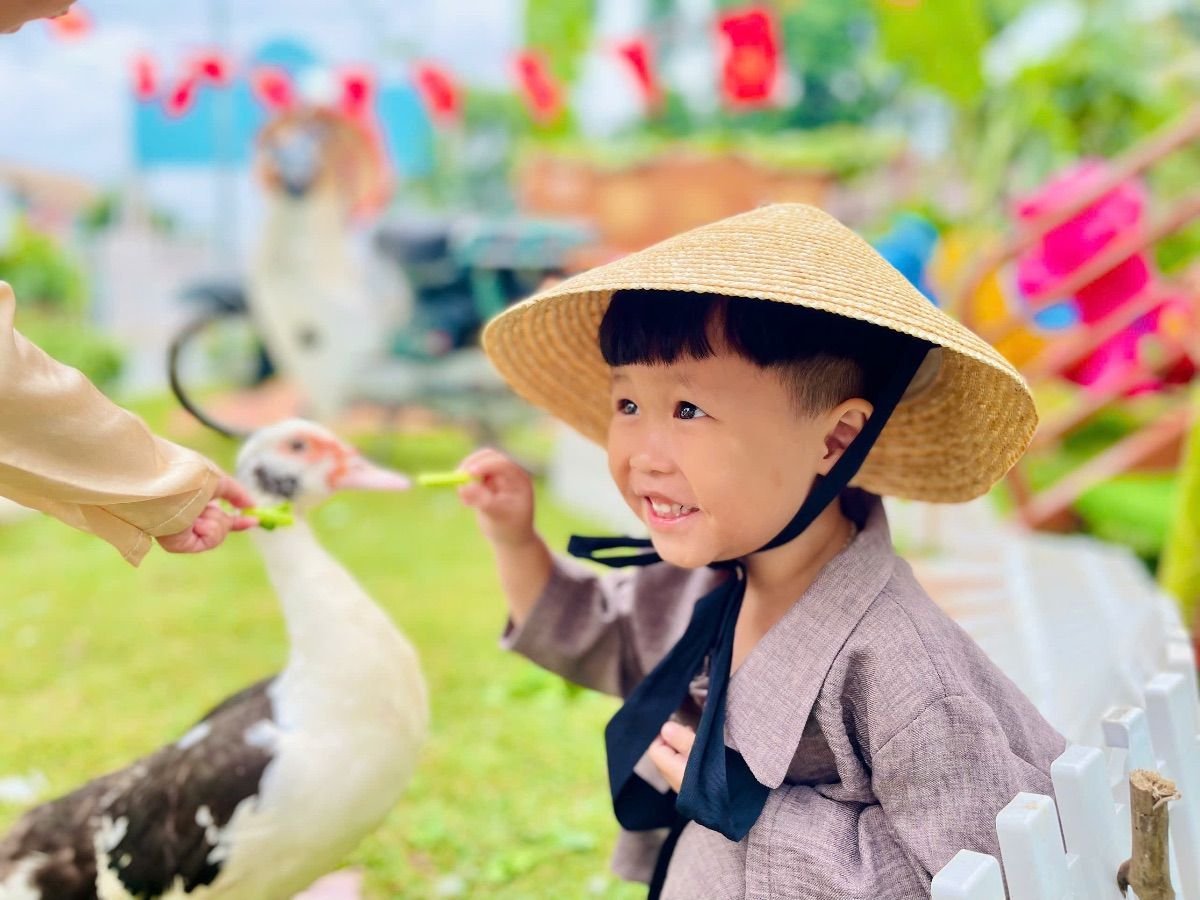 Ảnh hoạt động