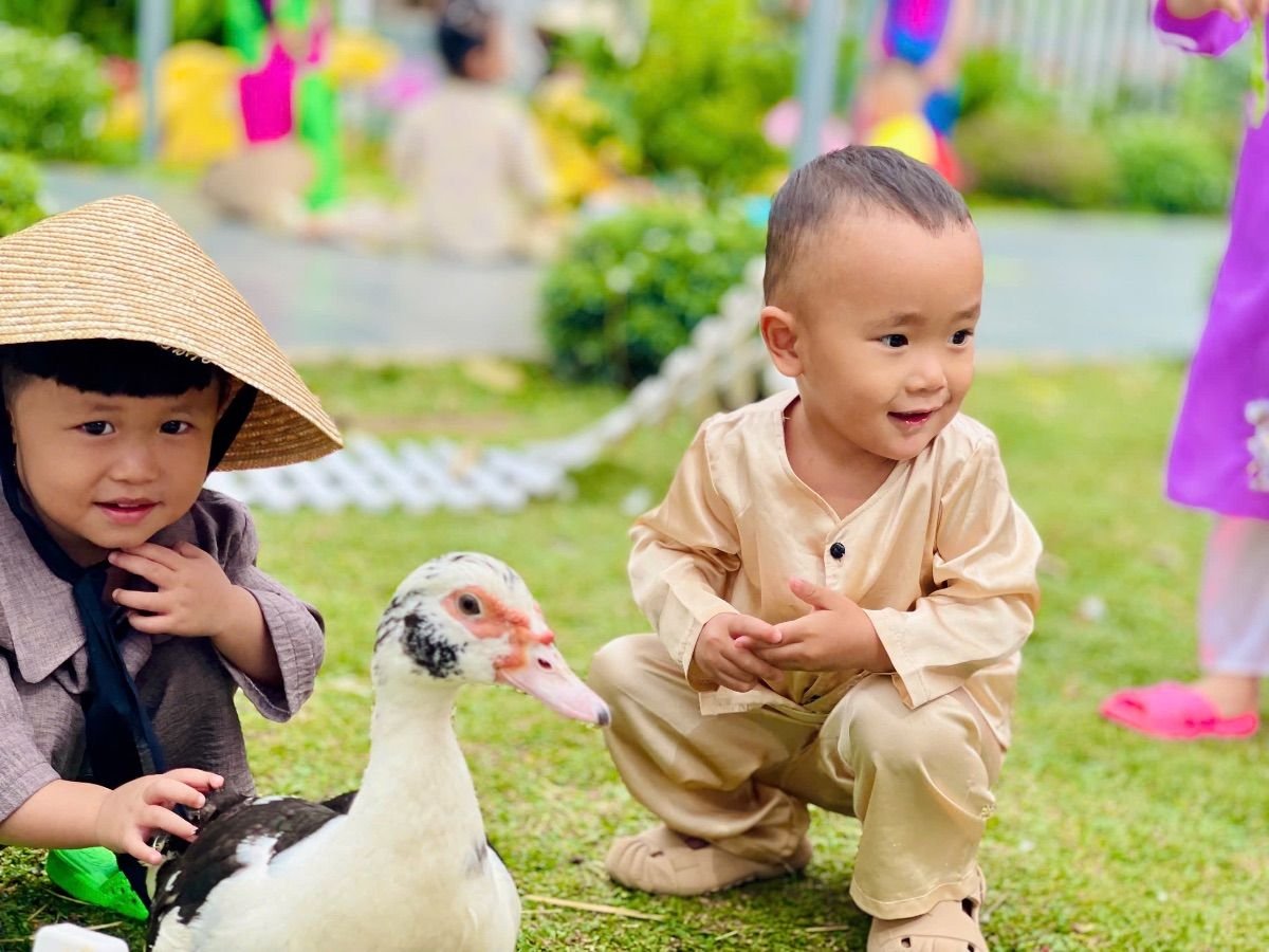 Ảnh hoạt động