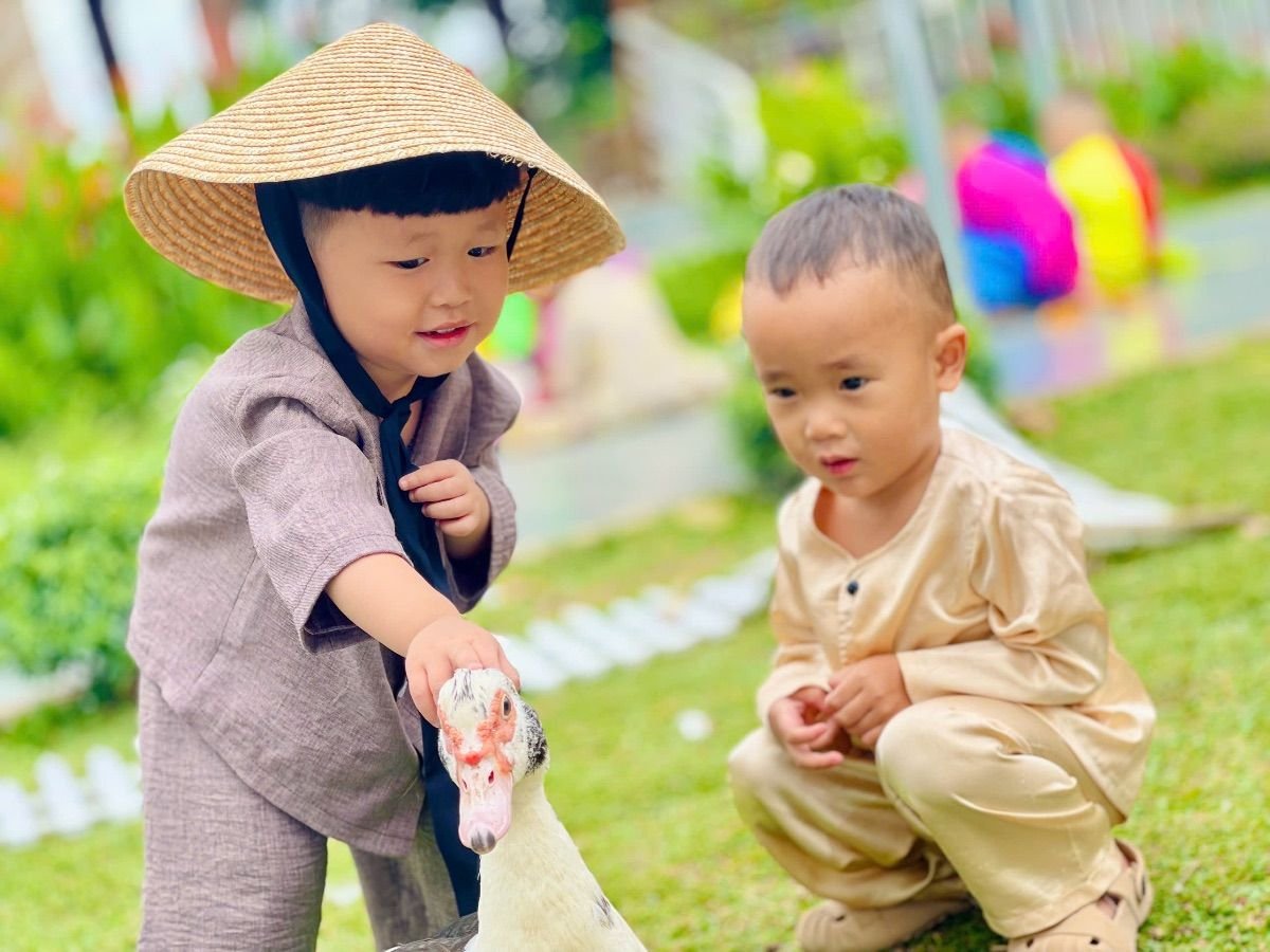 Ảnh hoạt động