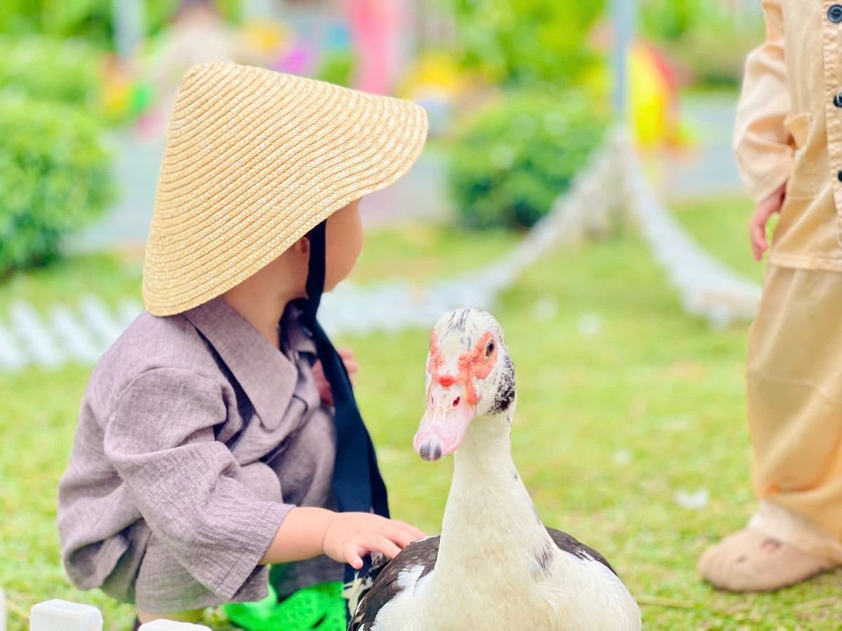 Ảnh hoạt động