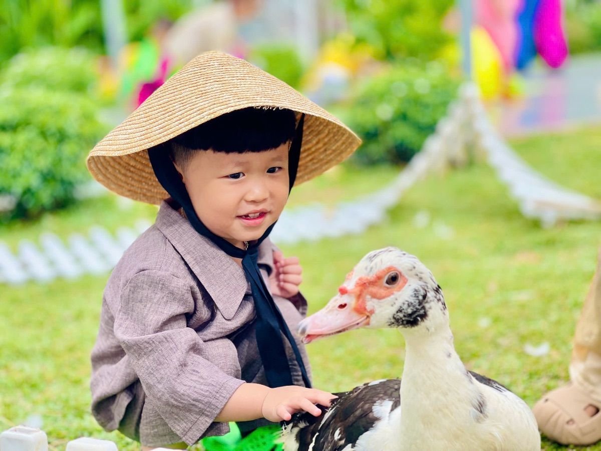 Ảnh hoạt động