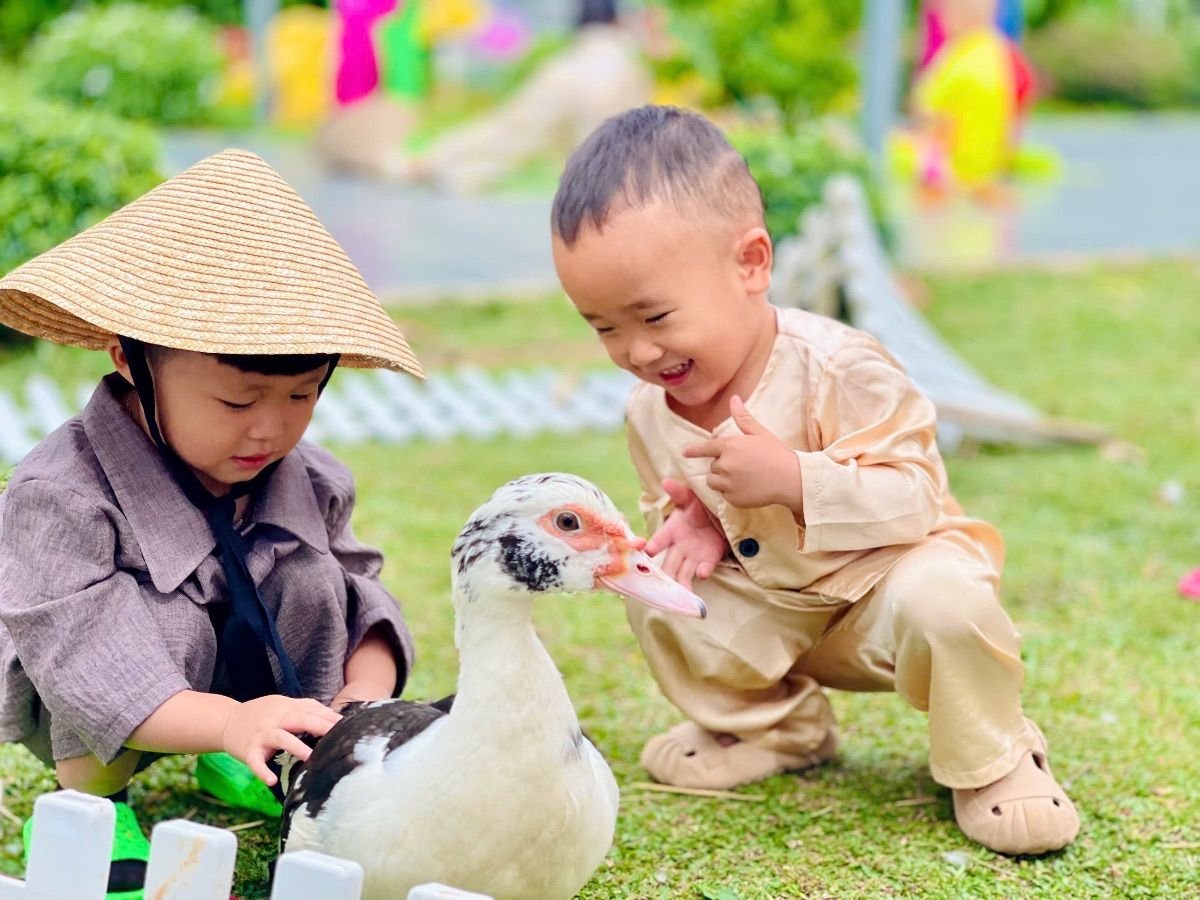 Ảnh hoạt động