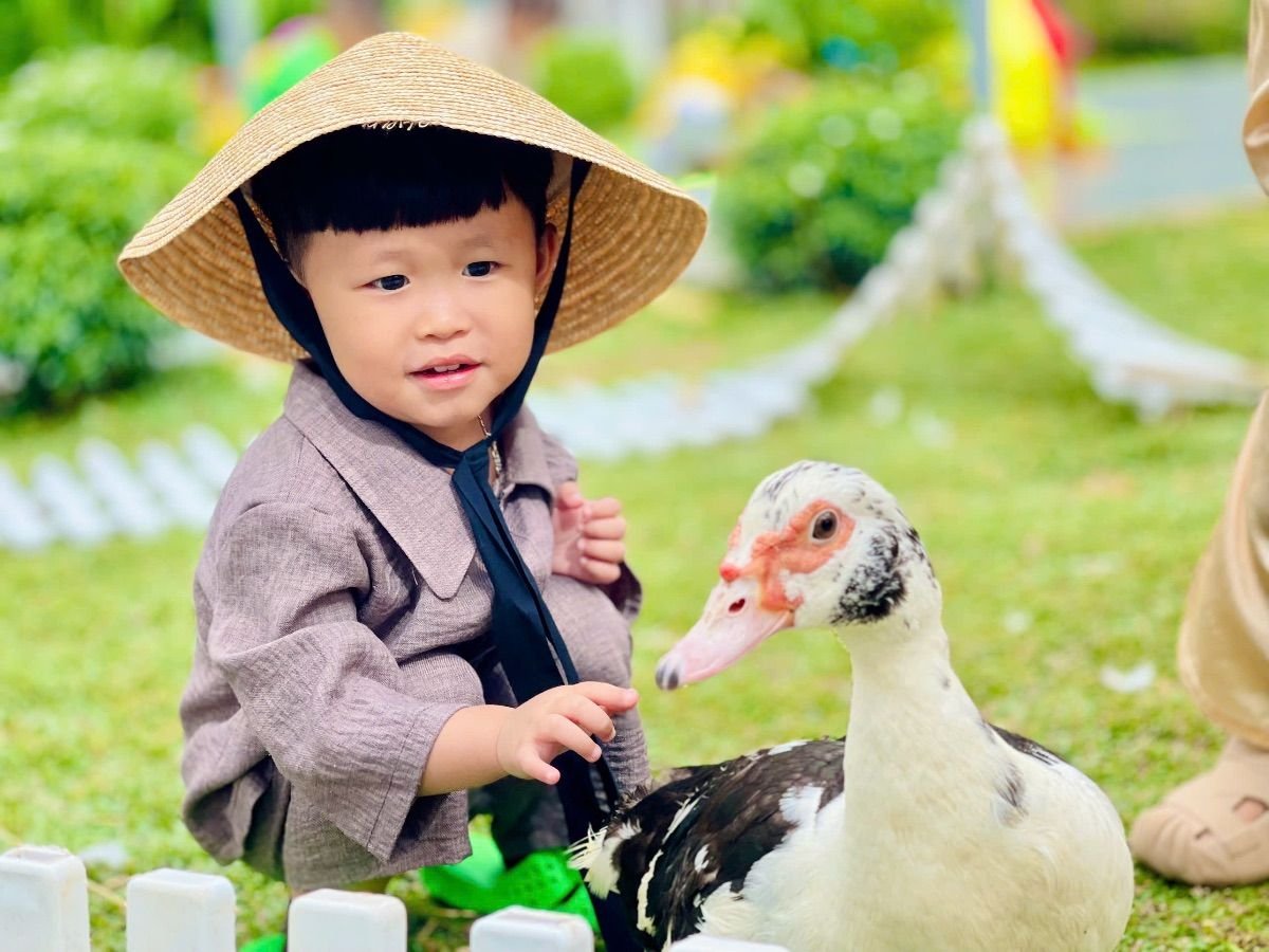 Ảnh hoạt động