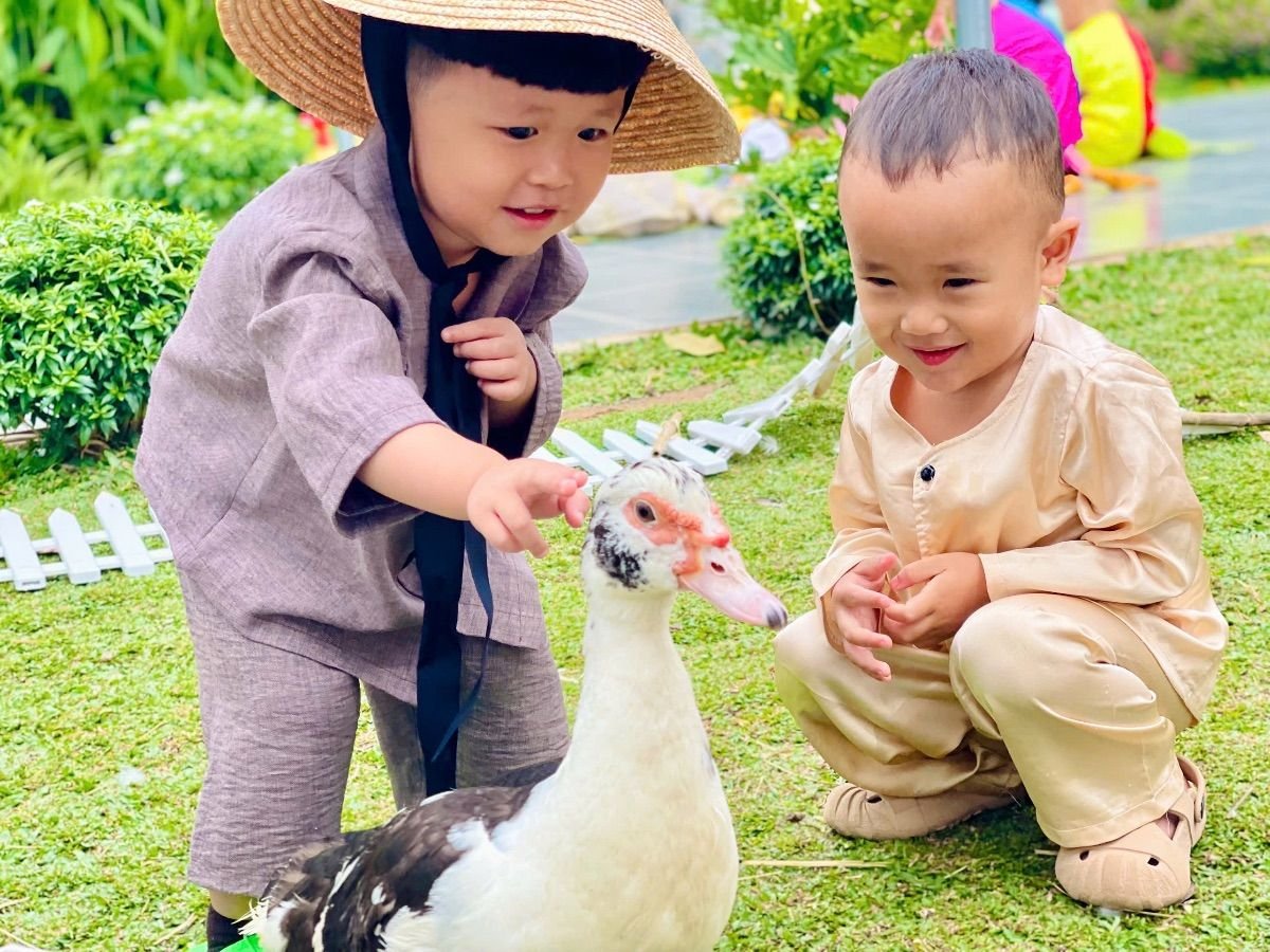 Ảnh hoạt động