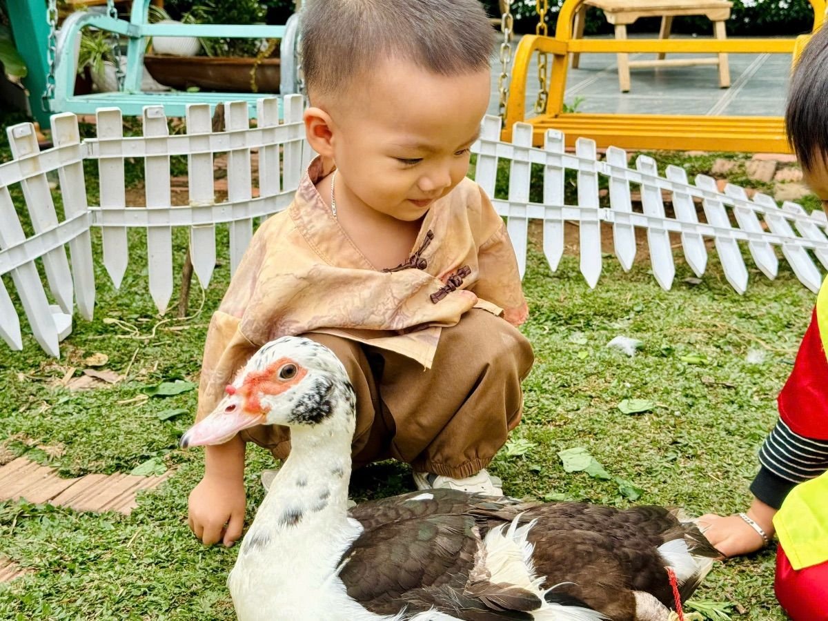 Ảnh hoạt động