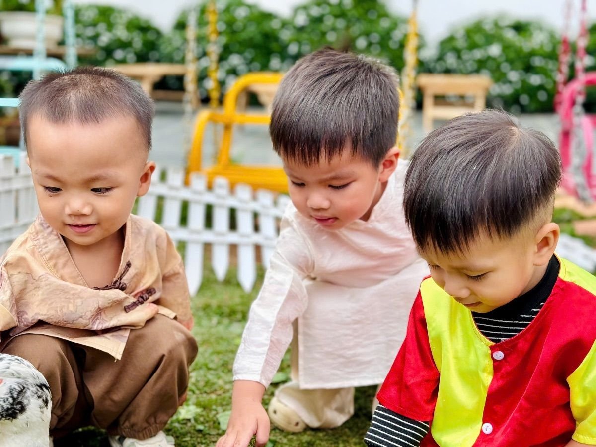 Ảnh hoạt động