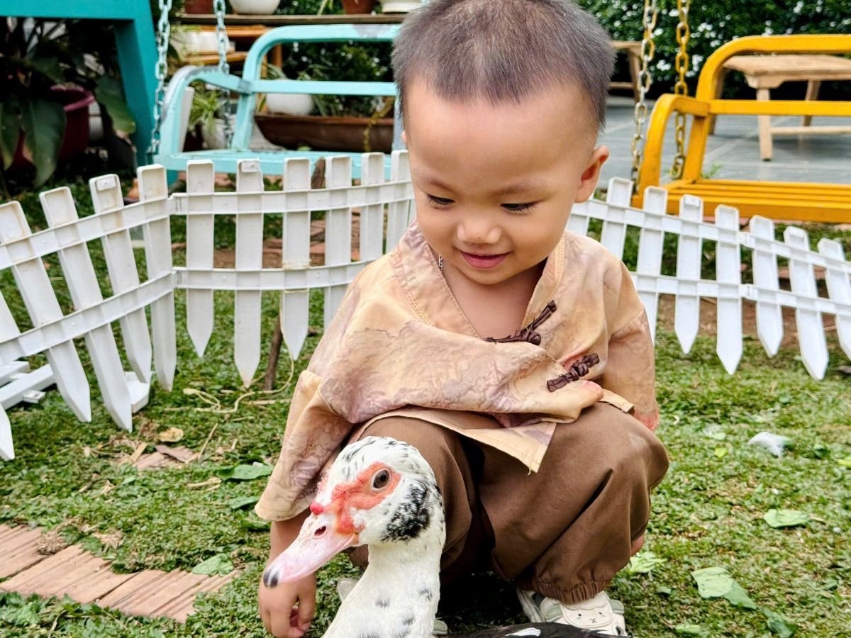 Ảnh hoạt động