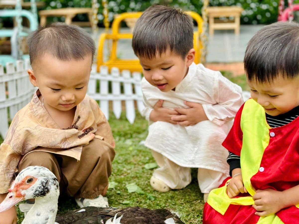 Ảnh hoạt động