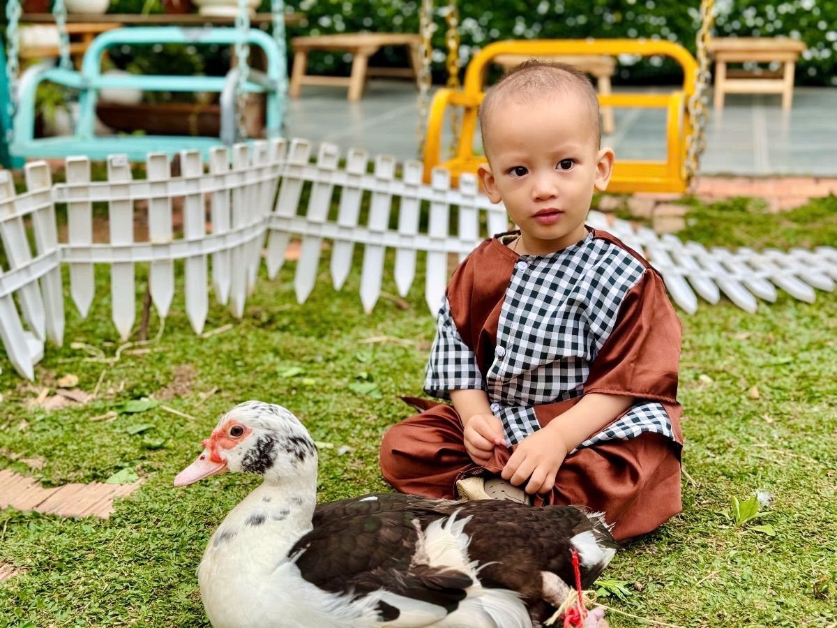 Ảnh hoạt động