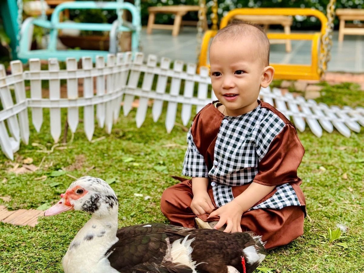 Ảnh hoạt động