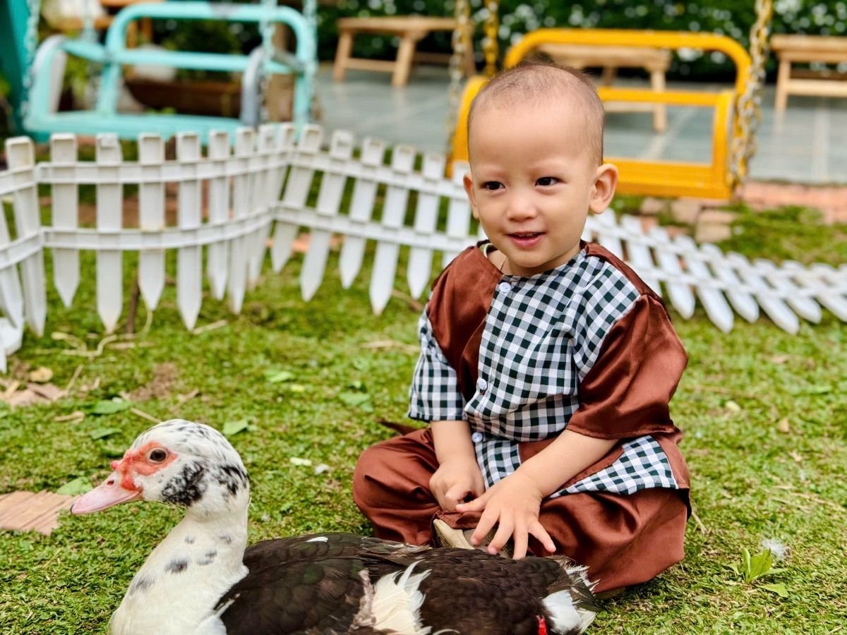 Ảnh hoạt động