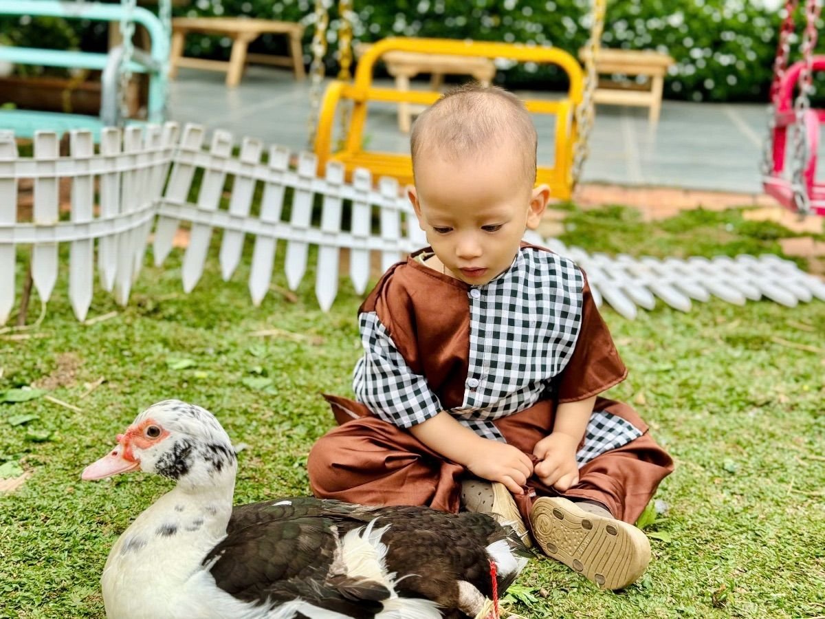 Ảnh hoạt động