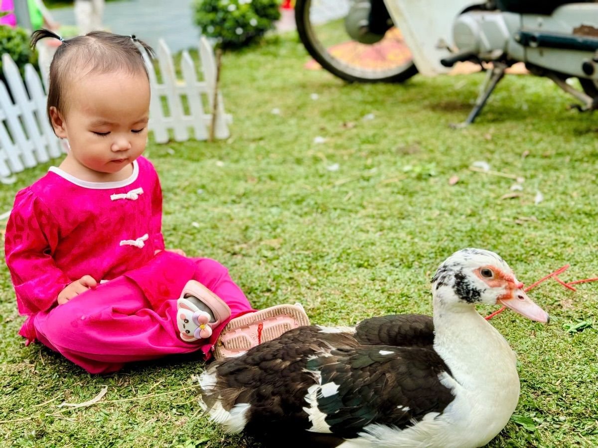 Ảnh hoạt động