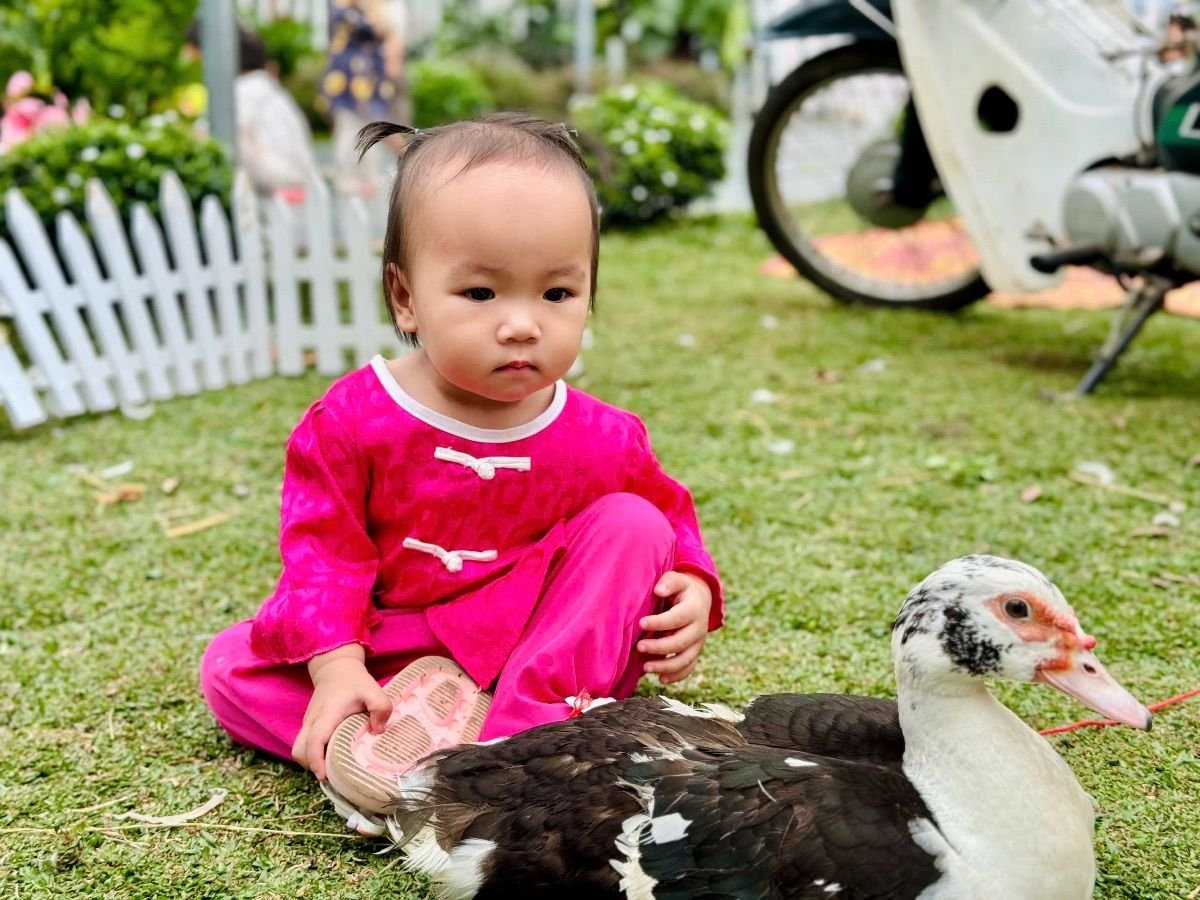 Ảnh hoạt động