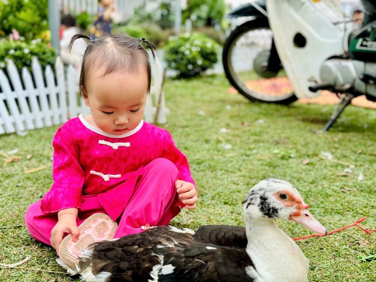 Ảnh hoạt động